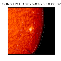gong - 2026-03-25T10:00:02