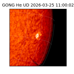 gong - 2026-03-25T11:00:02