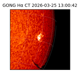 gong - 2026-03-25T13:00:42