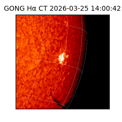 gong - 2026-03-25T14:00:42