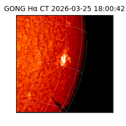gong - 2026-03-25T18:00:42
