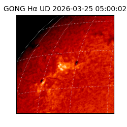 gong - 2026-03-25T05:00:02