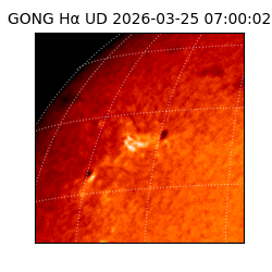 gong - 2026-03-25T07:00:02