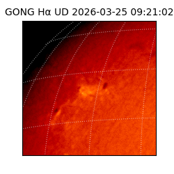 gong - 2026-03-25T09:21:02