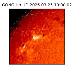 gong - 2026-03-25T10:00:02