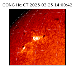 gong - 2026-03-25T14:00:42