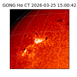 gong - 2026-03-25T15:00:42