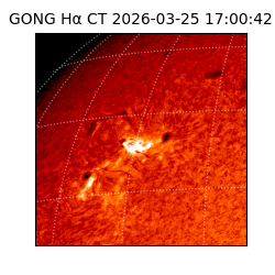 gong - 2026-03-25T17:00:42