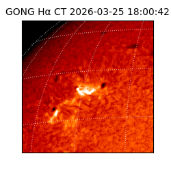 gong - 2026-03-25T18:00:42