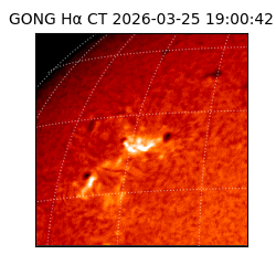 gong - 2026-03-25T19:00:42