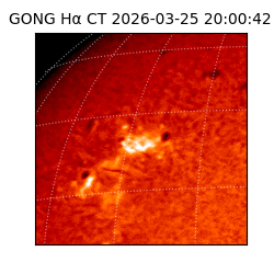 gong - 2026-03-25T20:00:42