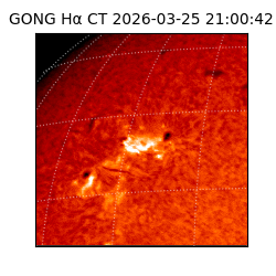 gong - 2026-03-25T21:00:42