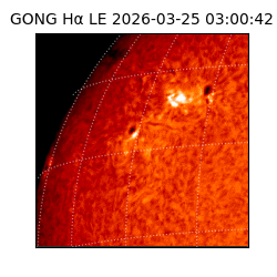 gong - 2026-03-25T03:00:42