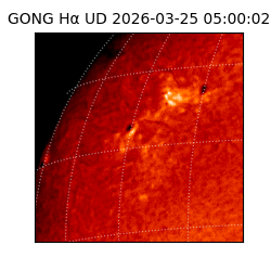 gong - 2026-03-25T05:00:02