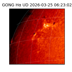 gong - 2026-03-25T06:23:02