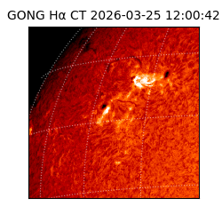 gong - 2026-03-25T12:00:42