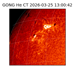 gong - 2026-03-25T13:00:42