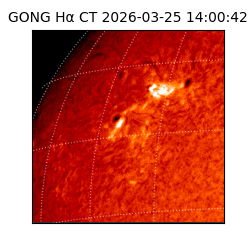 gong - 2026-03-25T14:00:42