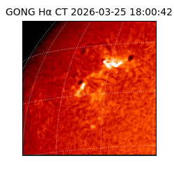 gong - 2026-03-25T18:00:42