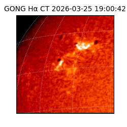 gong - 2026-03-25T19:00:42