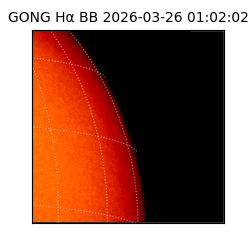 gong - 2026-03-26T01:02:02