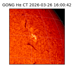 gong - 2026-03-26T16:00:42