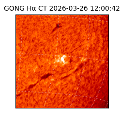 gong - 2026-03-26T12:00:42