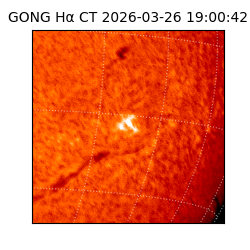 gong - 2026-03-26T19:00:42