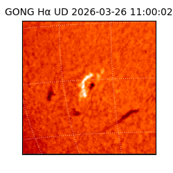 gong - 2026-03-26T11:00:02