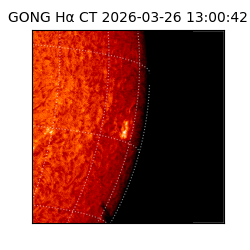 gong - 2026-03-26T13:00:42
