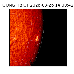 gong - 2026-03-26T14:00:42