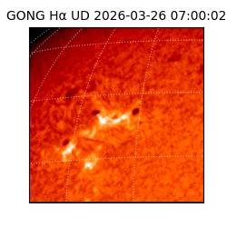 gong - 2026-03-26T07:00:02