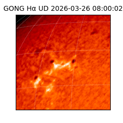 gong - 2026-03-26T08:00:02