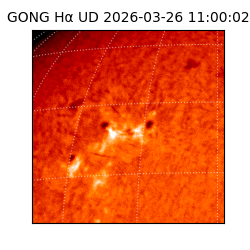 gong - 2026-03-26T11:00:02