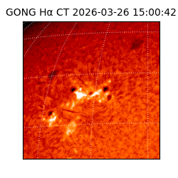 gong - 2026-03-26T15:00:42