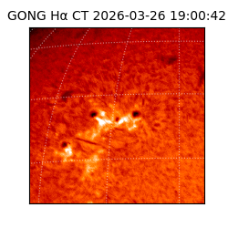 gong - 2026-03-26T19:00:42