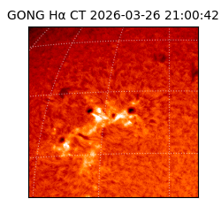 gong - 2026-03-26T21:00:42