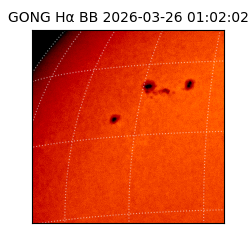 gong - 2026-03-26T01:02:02