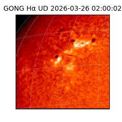 gong - 2026-03-26T02:00:02