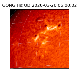 gong - 2026-03-26T06:00:02