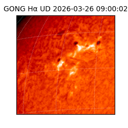 gong - 2026-03-26T09:00:02