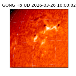 gong - 2026-03-26T10:00:02