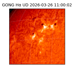 gong - 2026-03-26T11:00:02