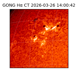 gong - 2026-03-26T14:00:42