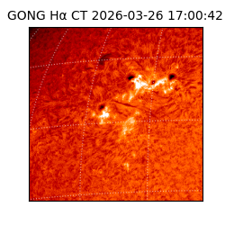 gong - 2026-03-26T17:00:42