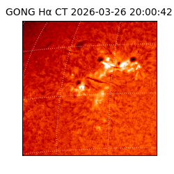 gong - 2026-03-26T20:00:42