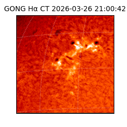 gong - 2026-03-26T21:00:42