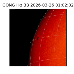 gong - 2026-03-26T01:02:02