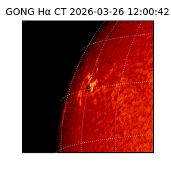 gong - 2026-03-26T12:00:42