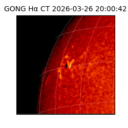 gong - 2026-03-26T20:00:42